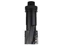 WPL Entkernfräser - Monoblock, D=67mm, NL=67mm, AL=95mm, GL=126mm, Z2, HSK-F63