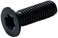 Senkkopfschraube für Vorschneider, M6x10 (Kopf D8.8mm) T20
