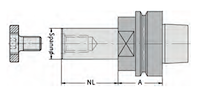 Fräsdorne mit Kegelhohlschaft (HSK-F 63 - mit Mitnehmer- und 2 Gewindebohrungen), Spann-ø=30mm, NL=55mm, A=45mm, GL=125mm