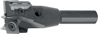 WPL Zylinderkopfbohrer Z2+2, D=25mm, GL=57.5mm, S=10x30mm, R